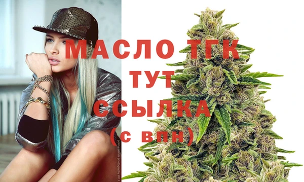 индика Волоколамск