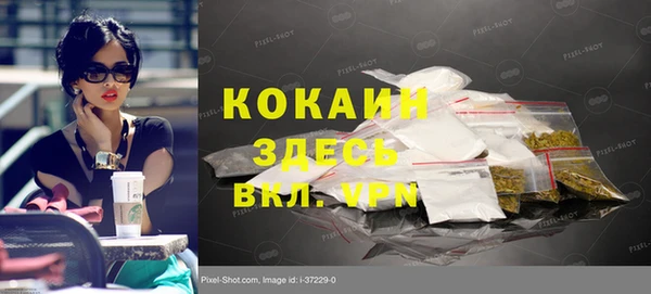 индика Волоколамск