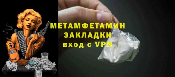 индика Волоколамск