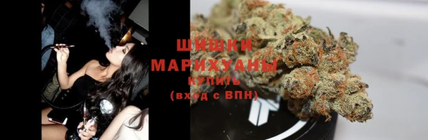 индика Волоколамск