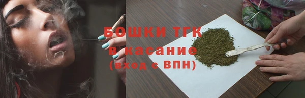 индика Волоколамск