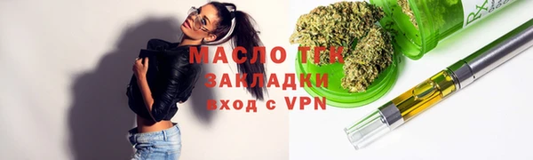 индика Волоколамск