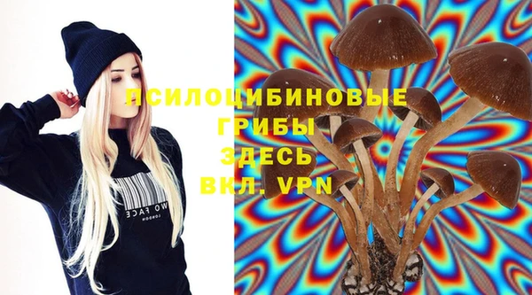 индика Волоколамск