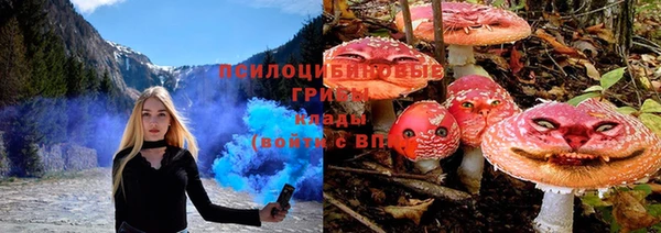 mdma Бородино