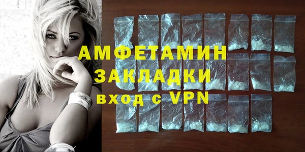 индика Волоколамск
