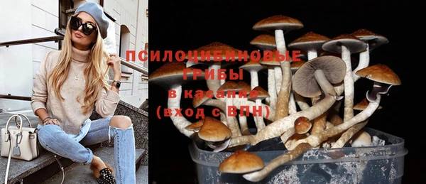 индика Волоколамск