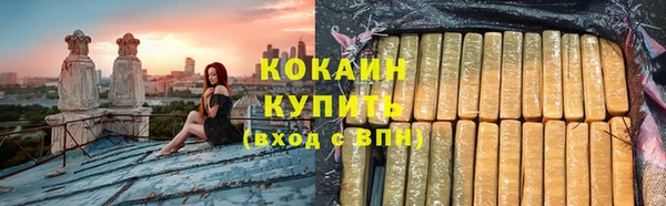 индика Волоколамск