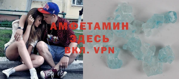 индика Волоколамск