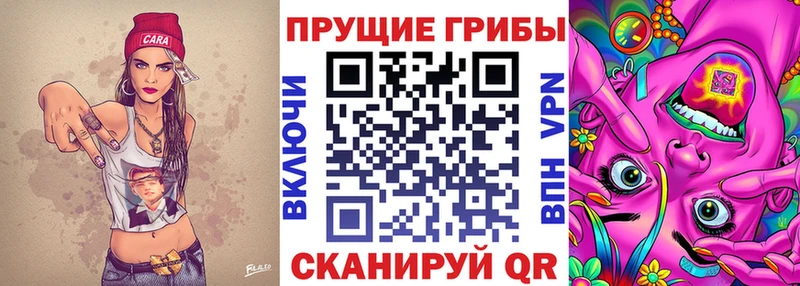 mega ТОР  Новоржев  мориарти как зайти  Псилоцибиновые грибы Magic Shrooms 