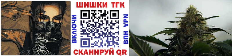 Бошки Шишки планчик  Новоржев 